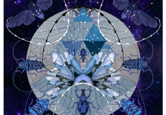 Forget Me Not Scarves