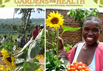 Gardens-for-health-pattern-contest