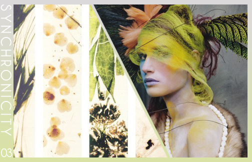 Aaryn West Synchronicity 3